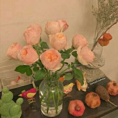 正规AG捕鱼王平台